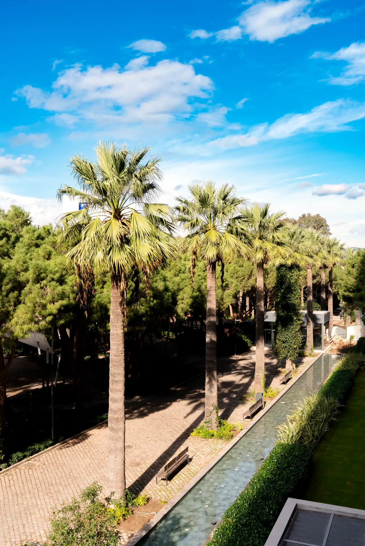 Canopy by Hilton — Palmiyeli bahçe ve su kanalı