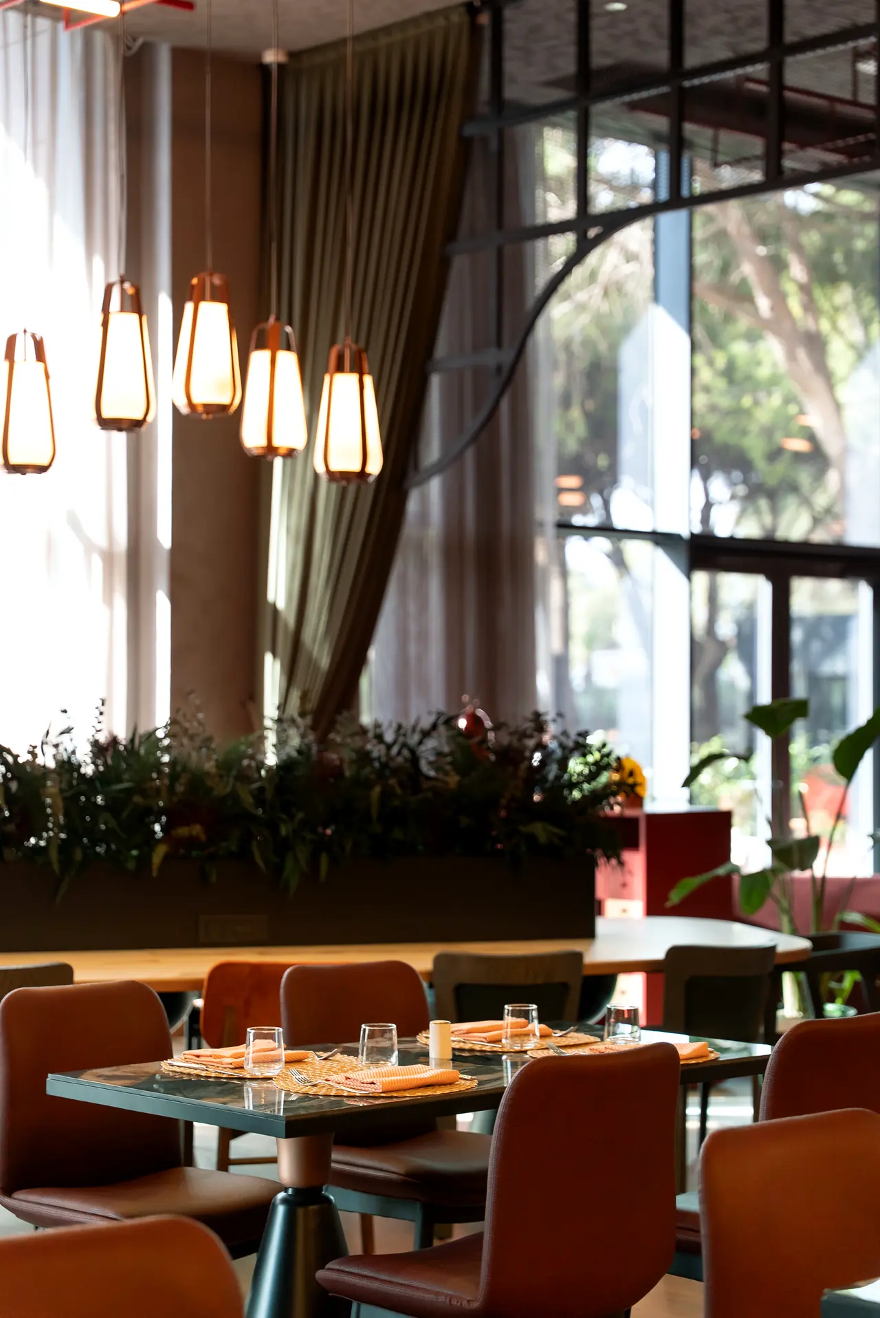 Canopy by Hilton — Pencere önünde bitkili ayırıcı ve restoran masaları